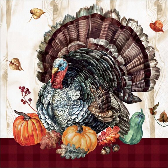176 Large Timeless Turkey 2-Ply Thanksgiving Christmas New Year Party Napkins - Picture 2 of 5